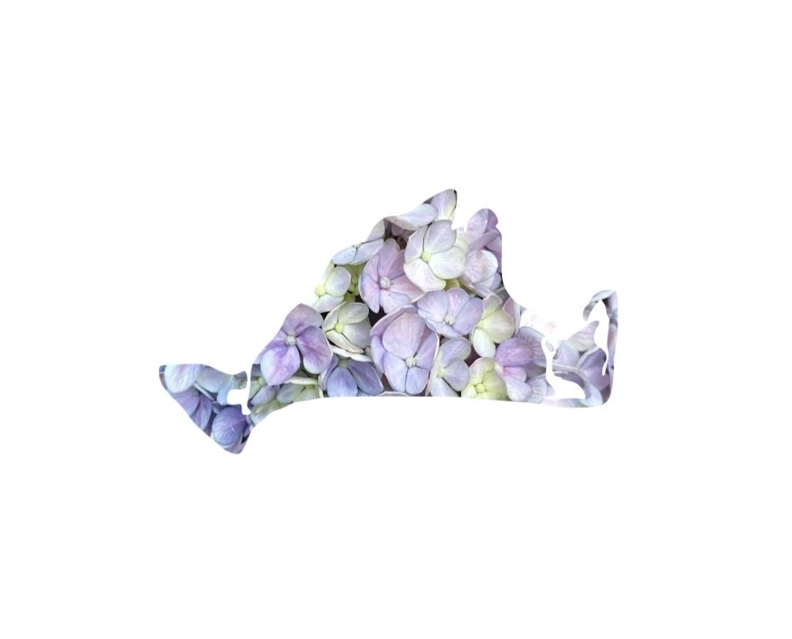 Martha's Vineyard Hydrangeas