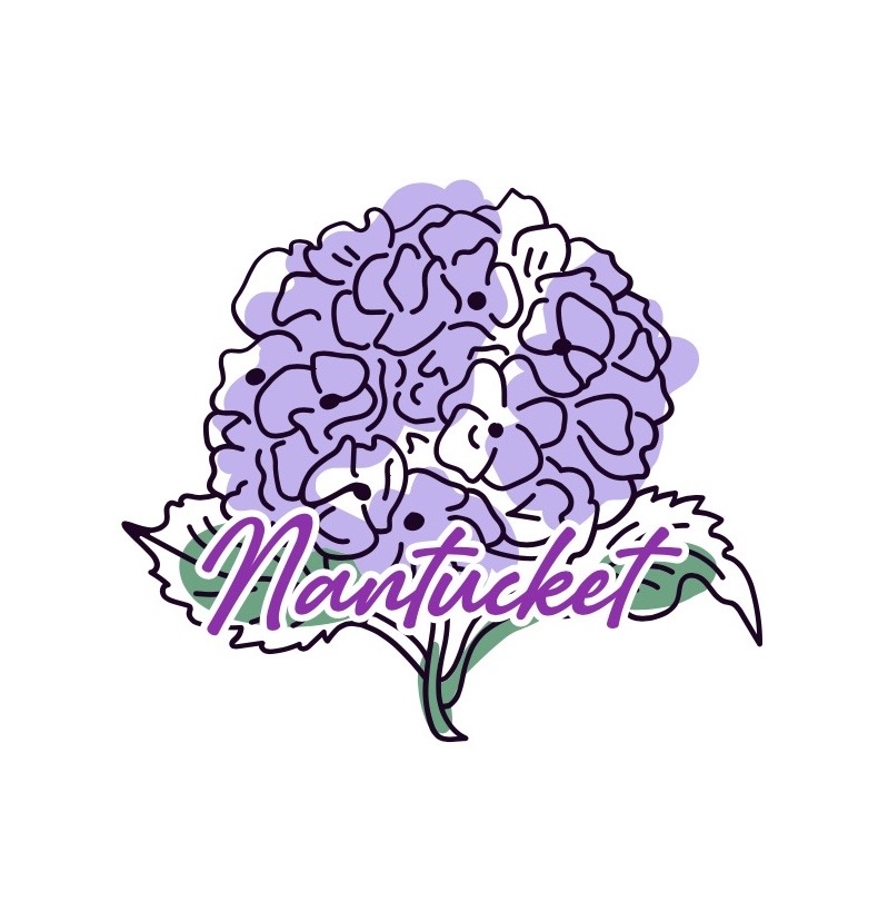 Nantucket Hydrangeas
