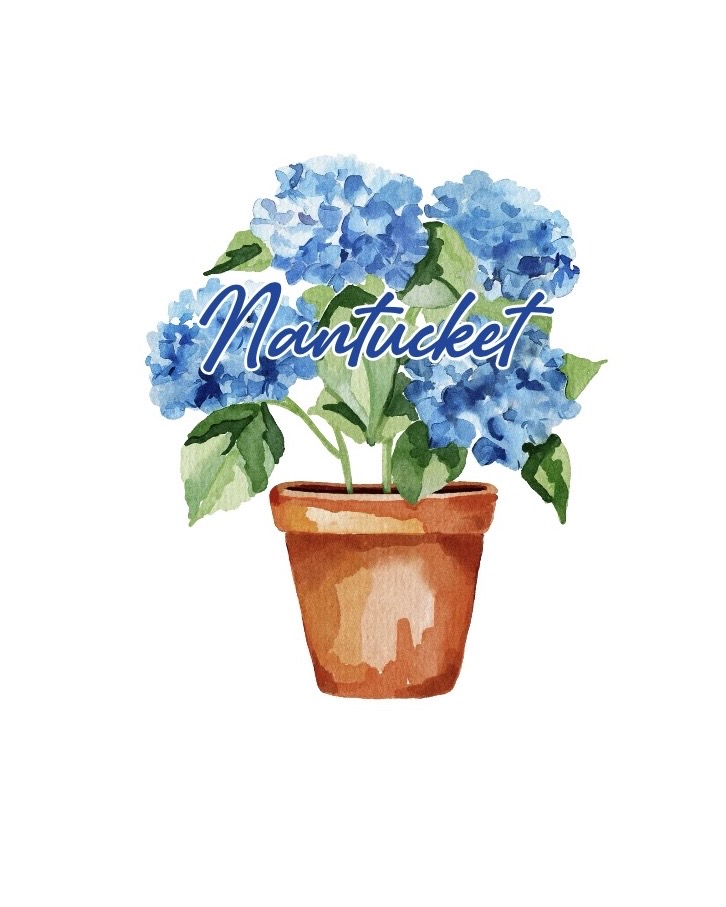Nantucket Hydrangeas